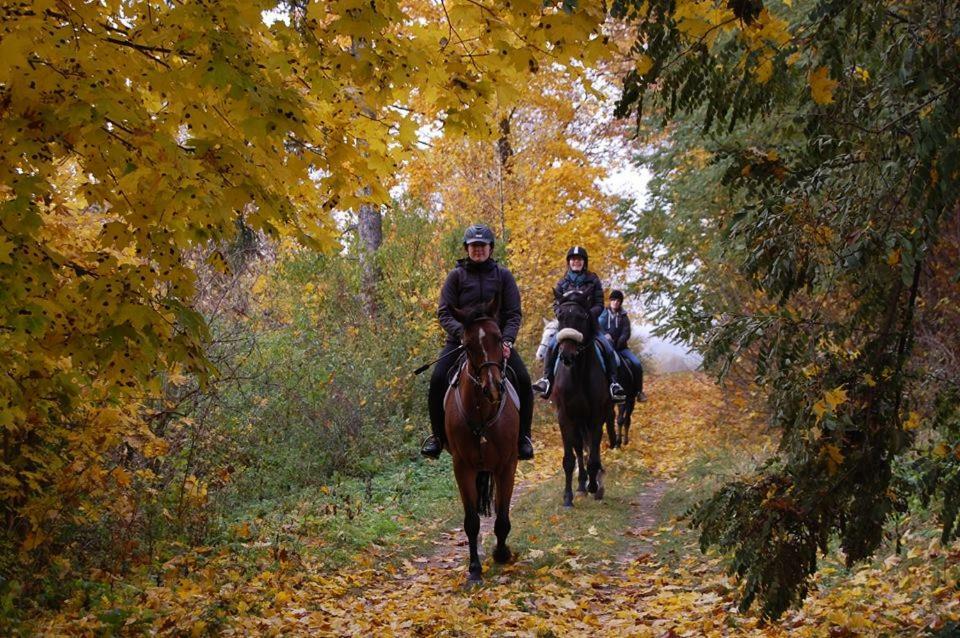 Ranch Pod Lesom Slovensky Raj Spissky Stiavnik Bagian luar foto